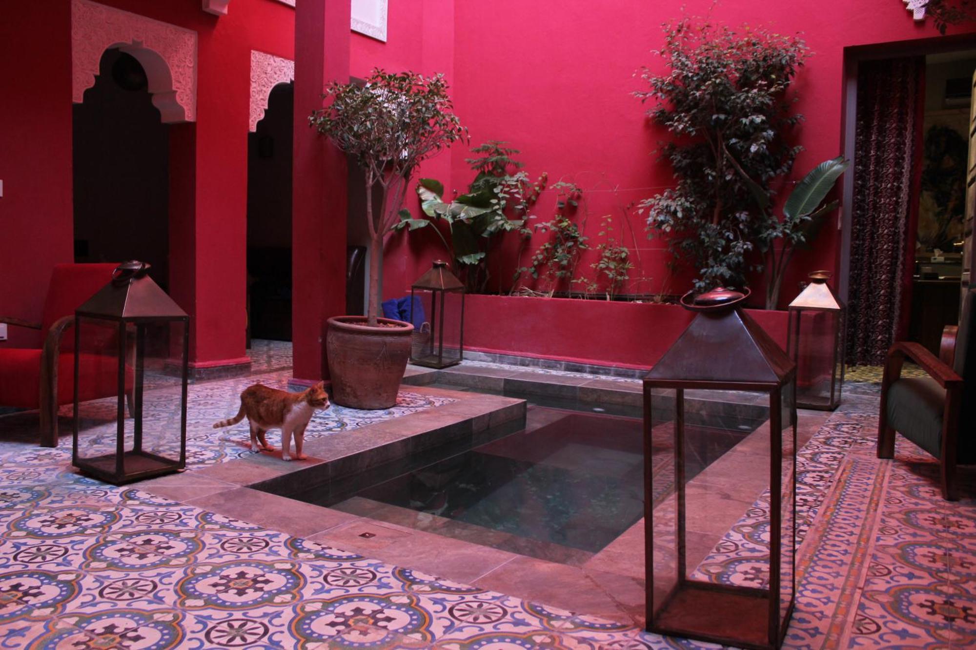 Riad Hilmuna Hammam Et Spa 马拉喀什 外观 照片