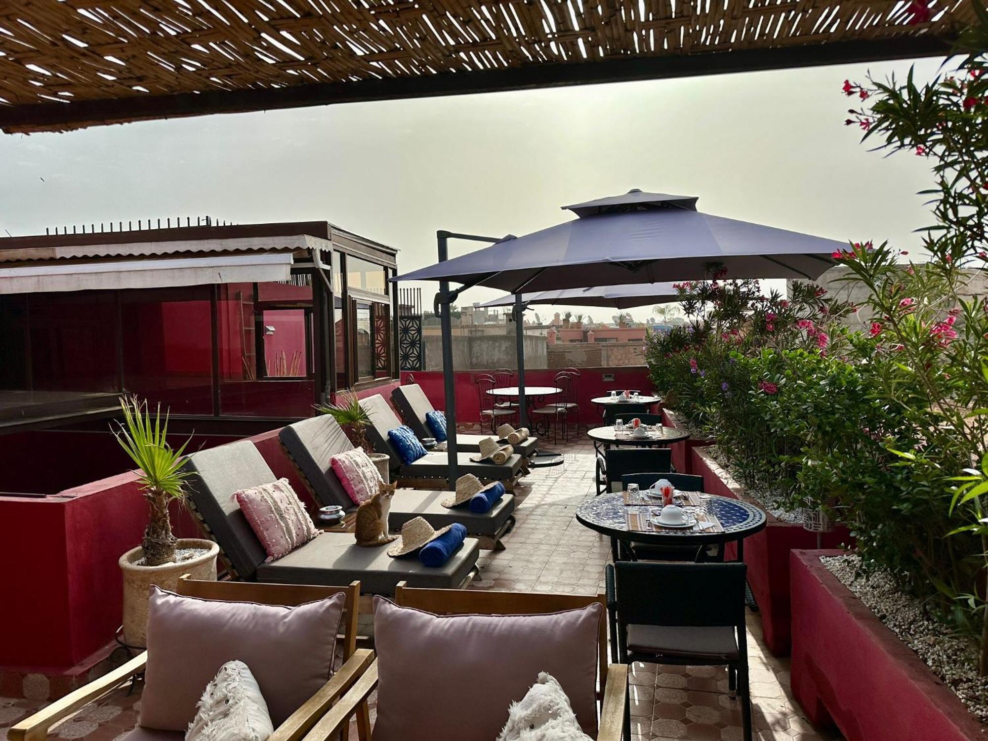 Riad Hilmuna Hammam Et Spa 马拉喀什 外观 照片