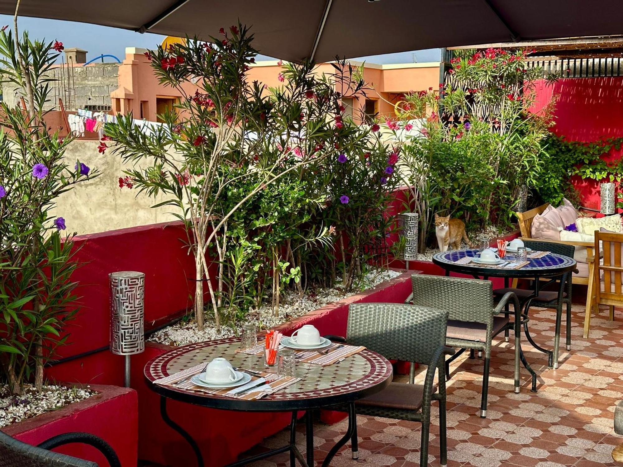 Riad Hilmuna Hammam Et Spa 马拉喀什 外观 照片